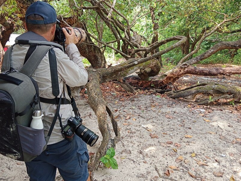 Ujung Kulon Tourism-Carita必去景点