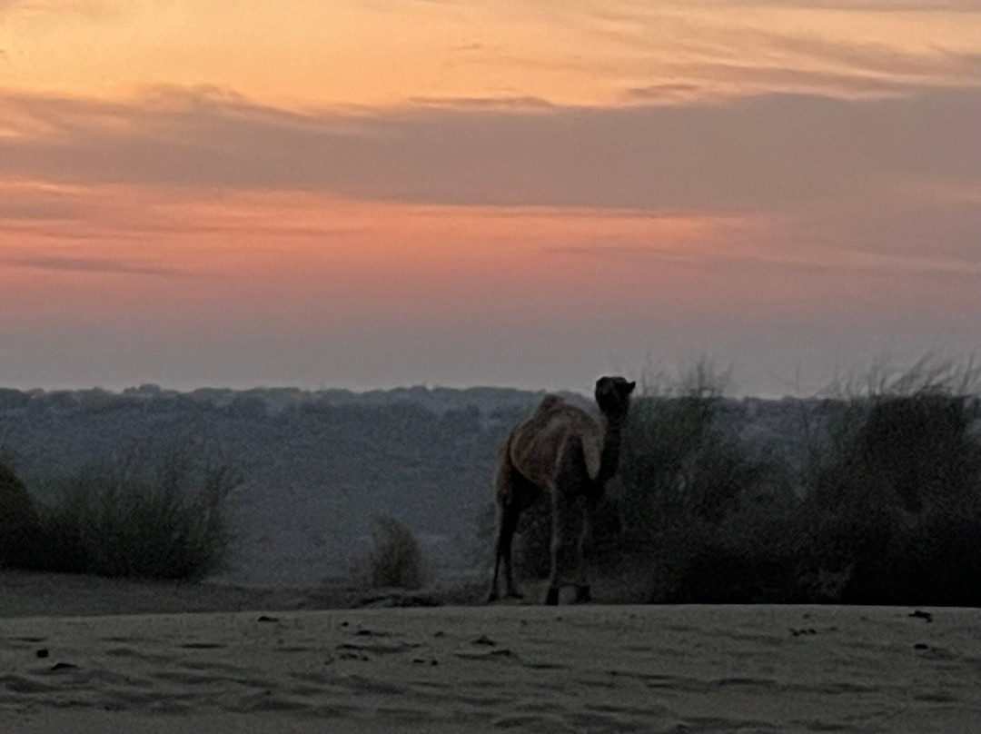 Mangalam Resorts主图