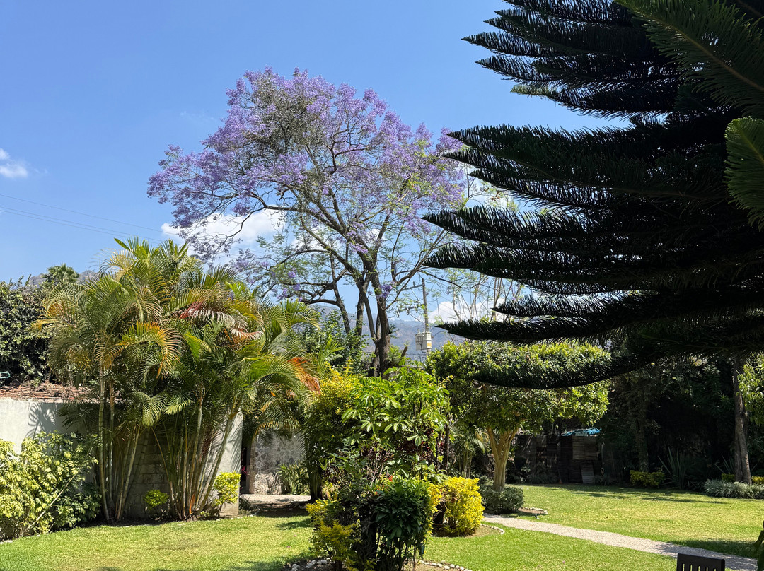 特波兹特兰民宿主图