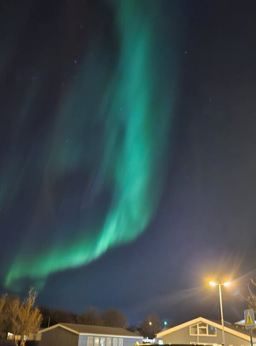 Icelandic Taxi Tours-雷克雅未克必去景点