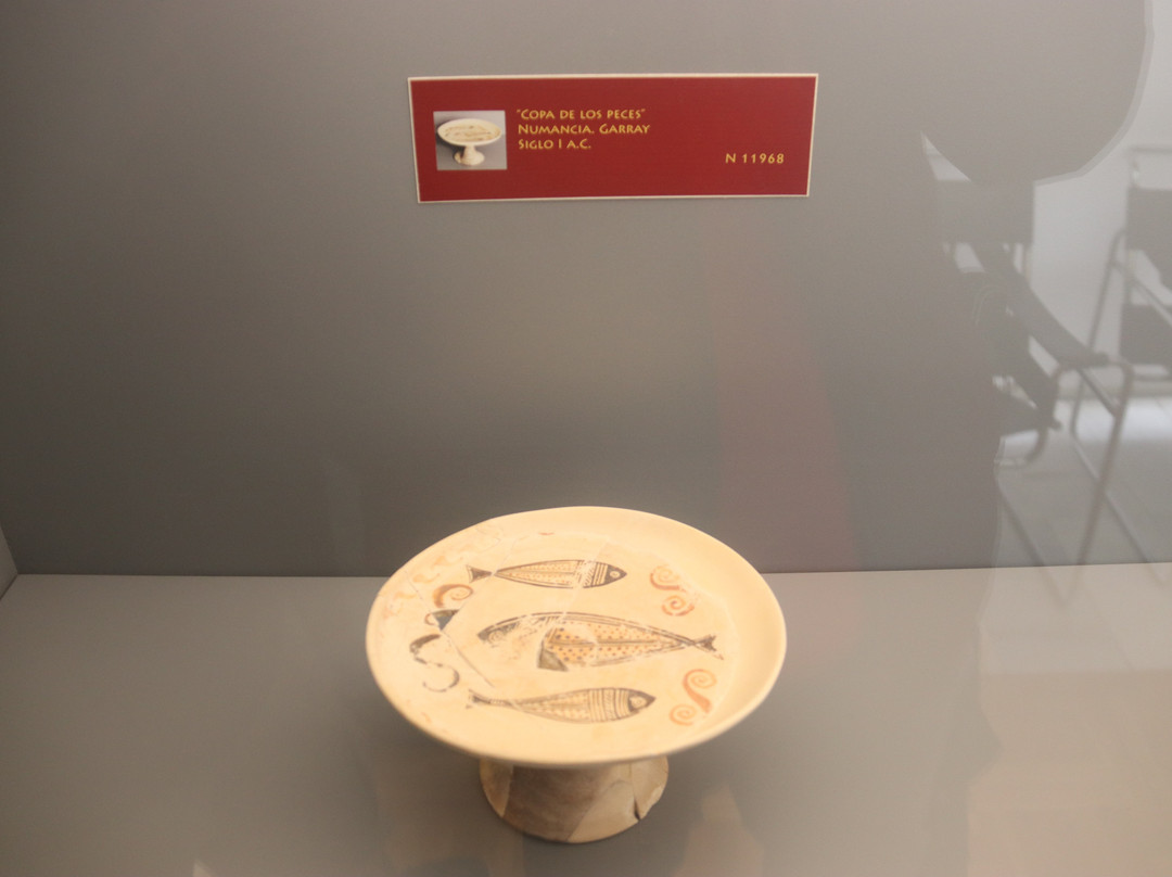 Museo Numantino景点图片