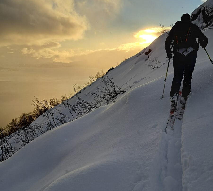 Arctic Cruise In Norway AS - Day Tours-特罗姆瑟必去景点