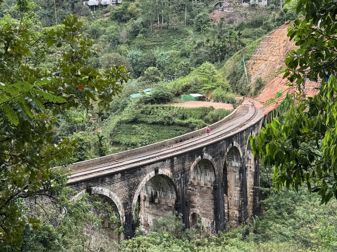 Ceylon Odyssey Travels & Tours景点图片