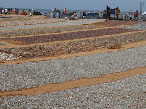 Vostro Viaggio-康提必去景点