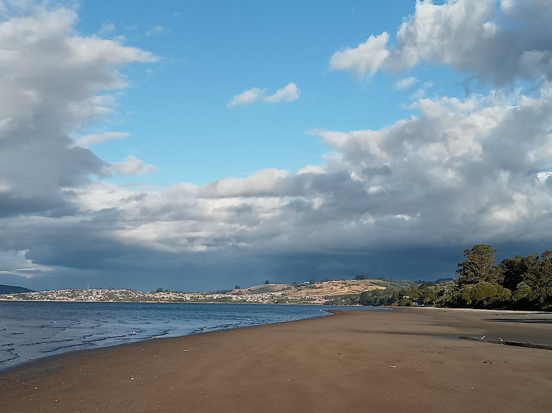 Playa Lechagua景点图片