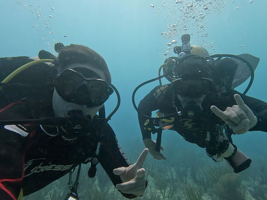 Pura Vida Diving景点图片