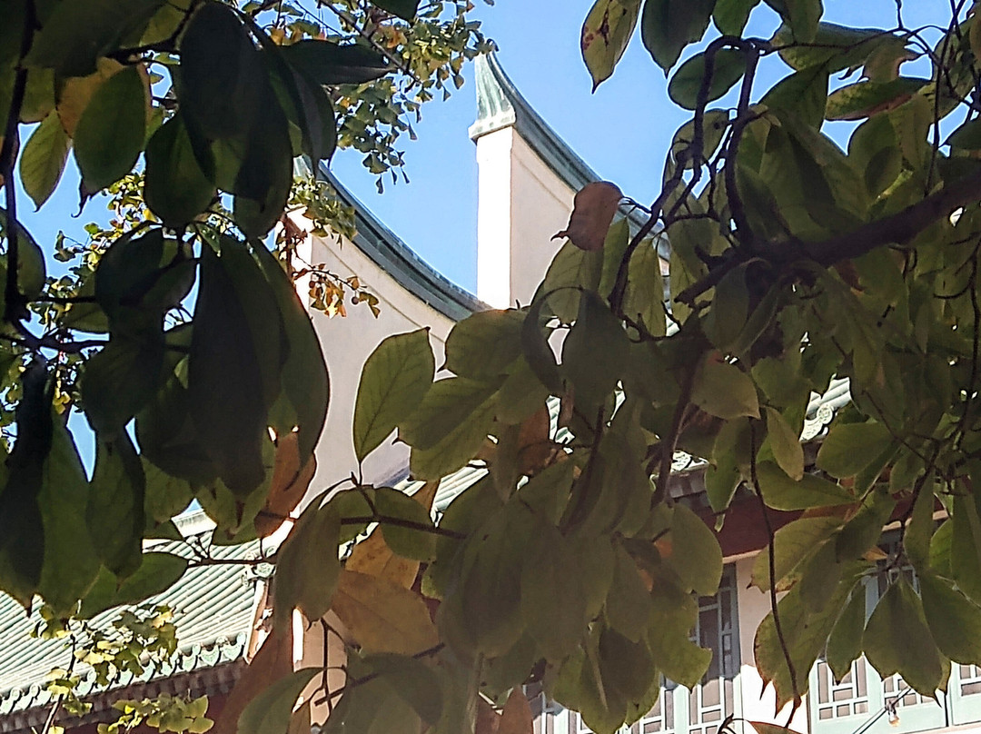 USC Pacific Asia Museum-帕萨迪纳必去景点