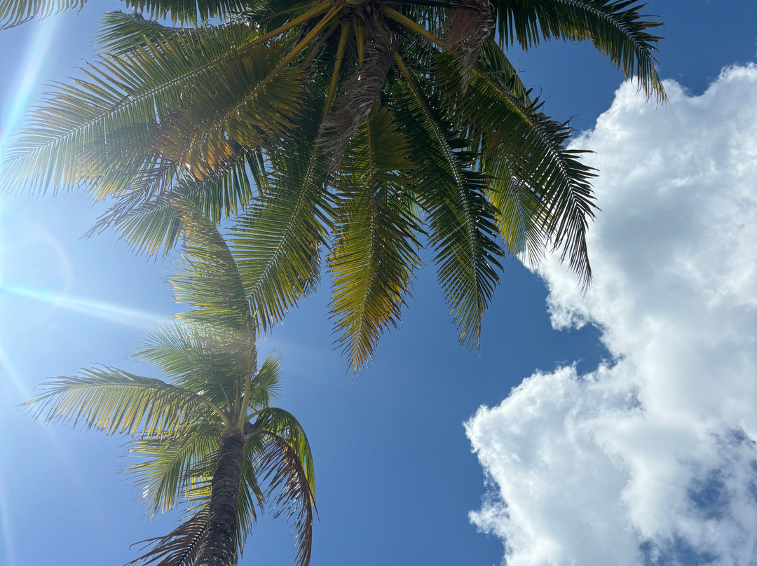 The Cabana Beach景点图片
