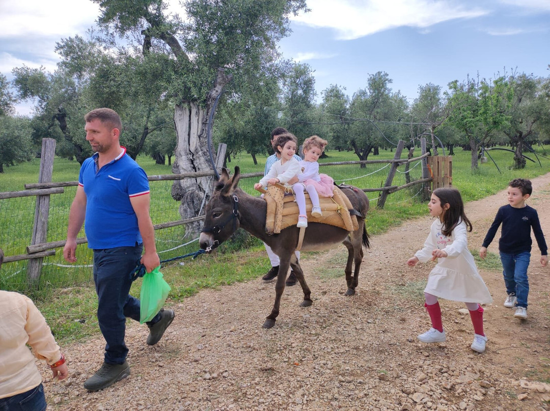 Agriturismo Armienti
