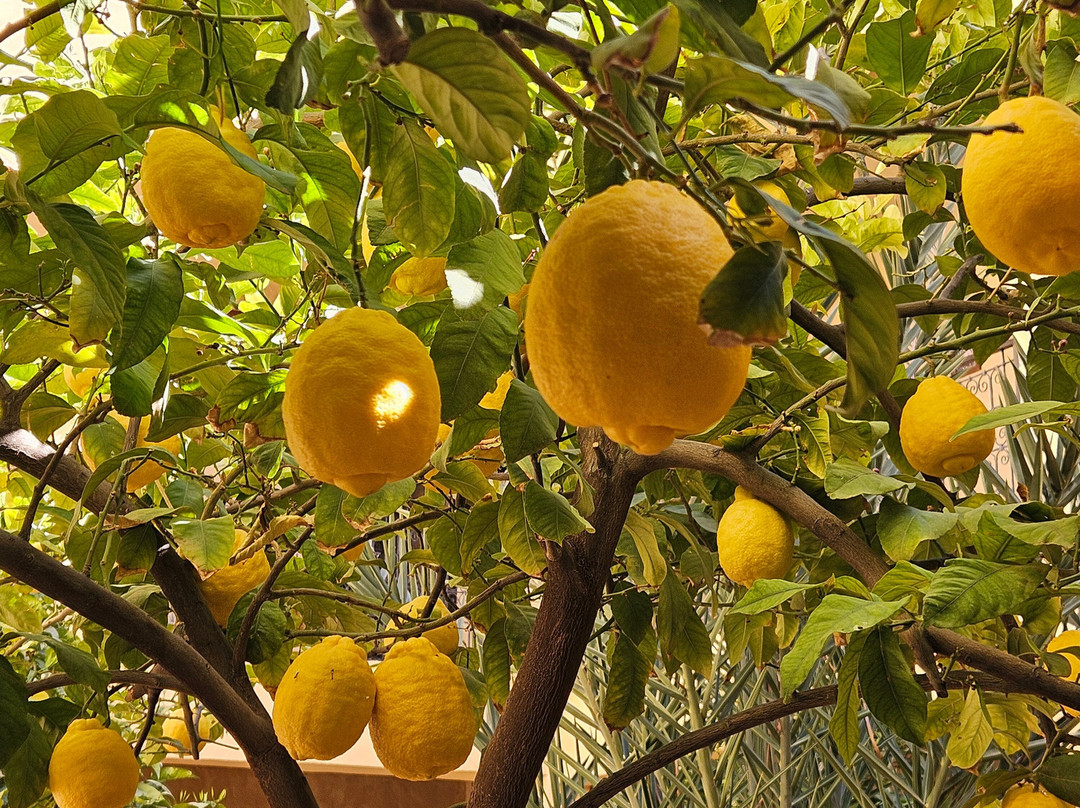 Auberge Amellagou主图