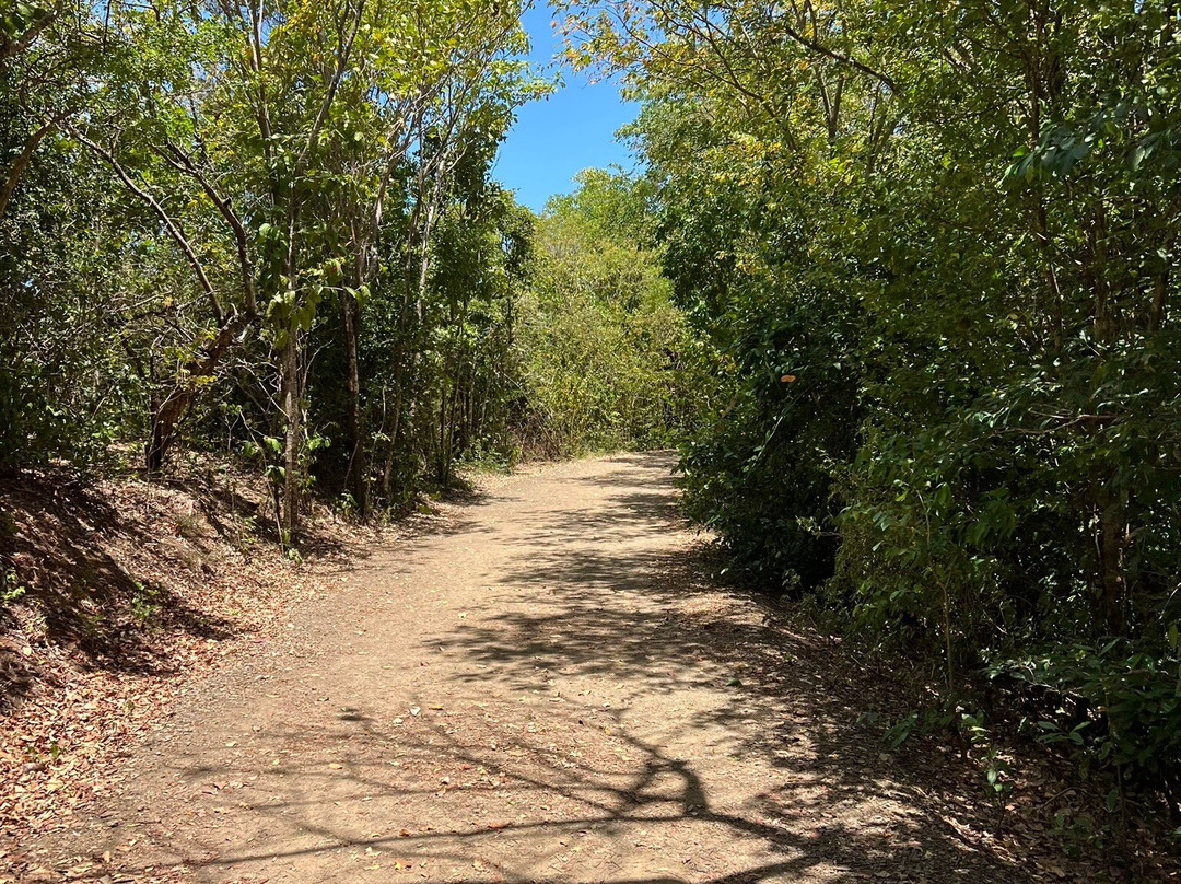 Presqu'ile de la Caravelle-Tartane必去景点