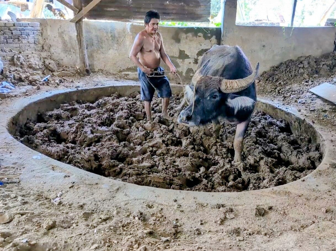 RG Jar Factory-维甘必去景点