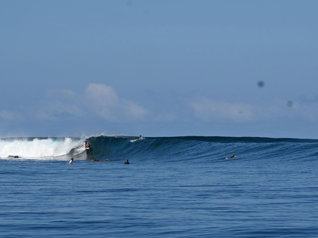 Fijian Surf Company景点图片