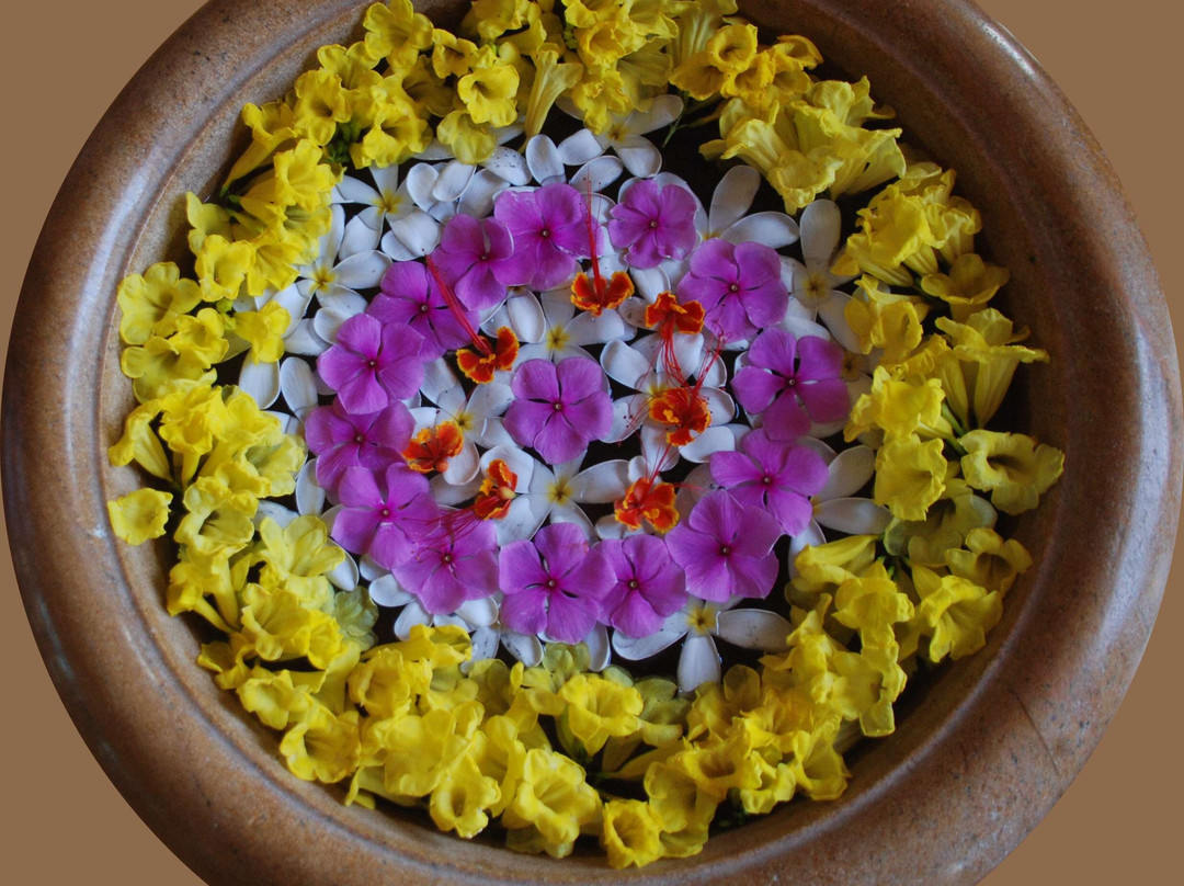 郁金香沙漠酒店主图