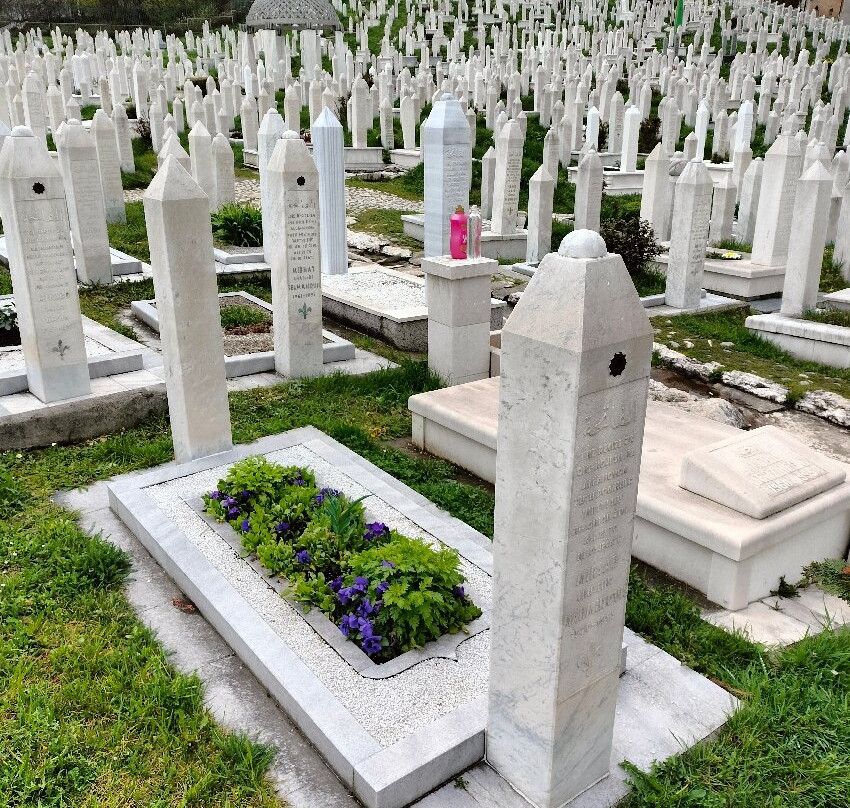 Alifakovac Cemetery-萨拉热窝必去景点