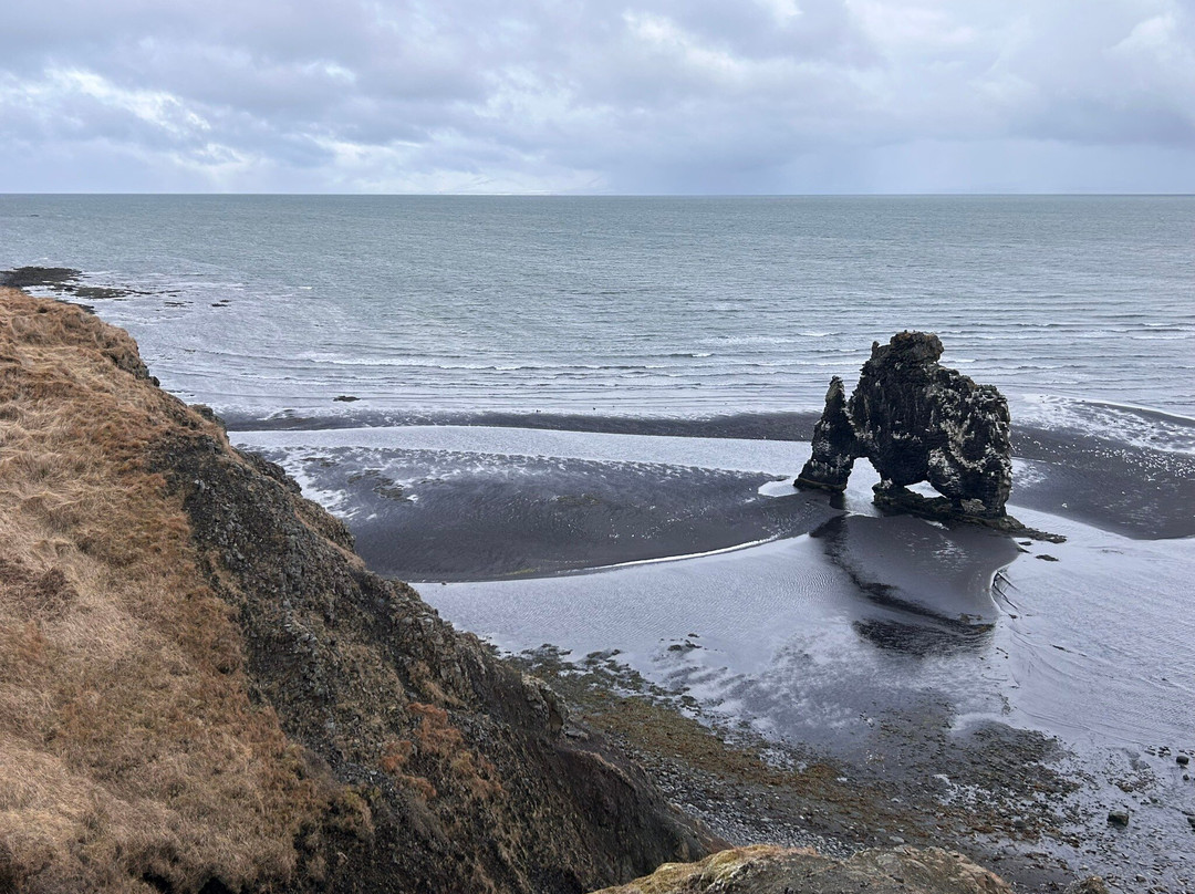 Hvitserkur-Vatnsnes必去景点
