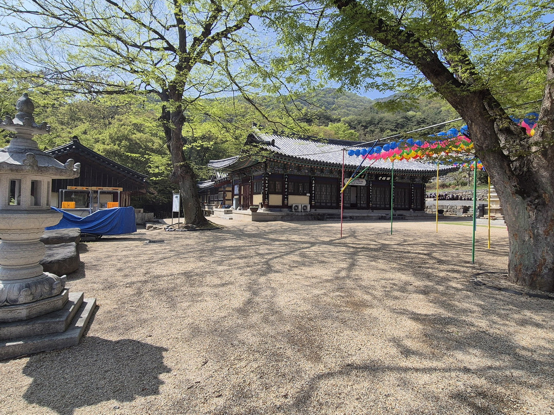 Hyangcheonsa Temple-礼山郡必去景点