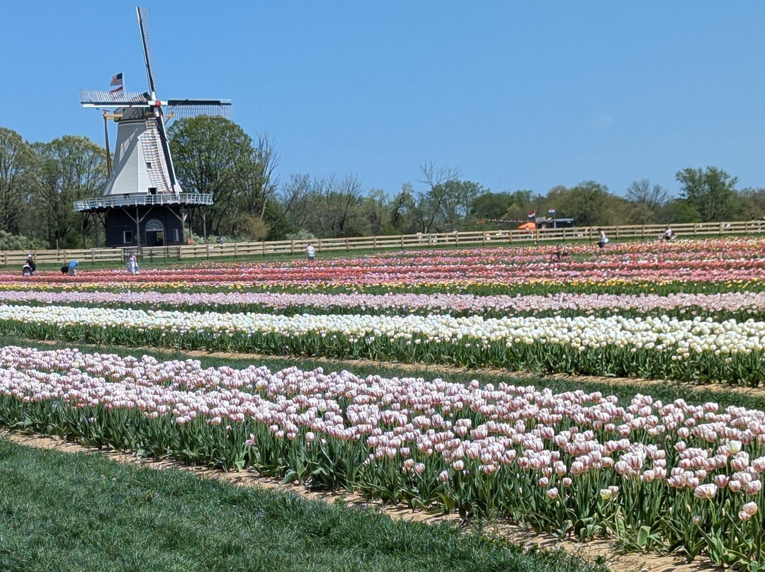 Holland Ridge Farms-Imlaystown必去景点
