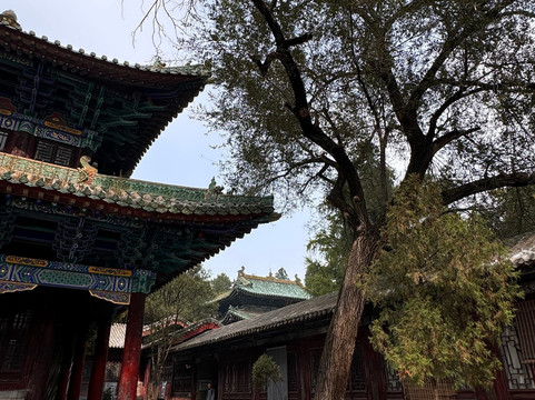 CK Martial Hearts (Shaolin Temple)-登封市必去景点