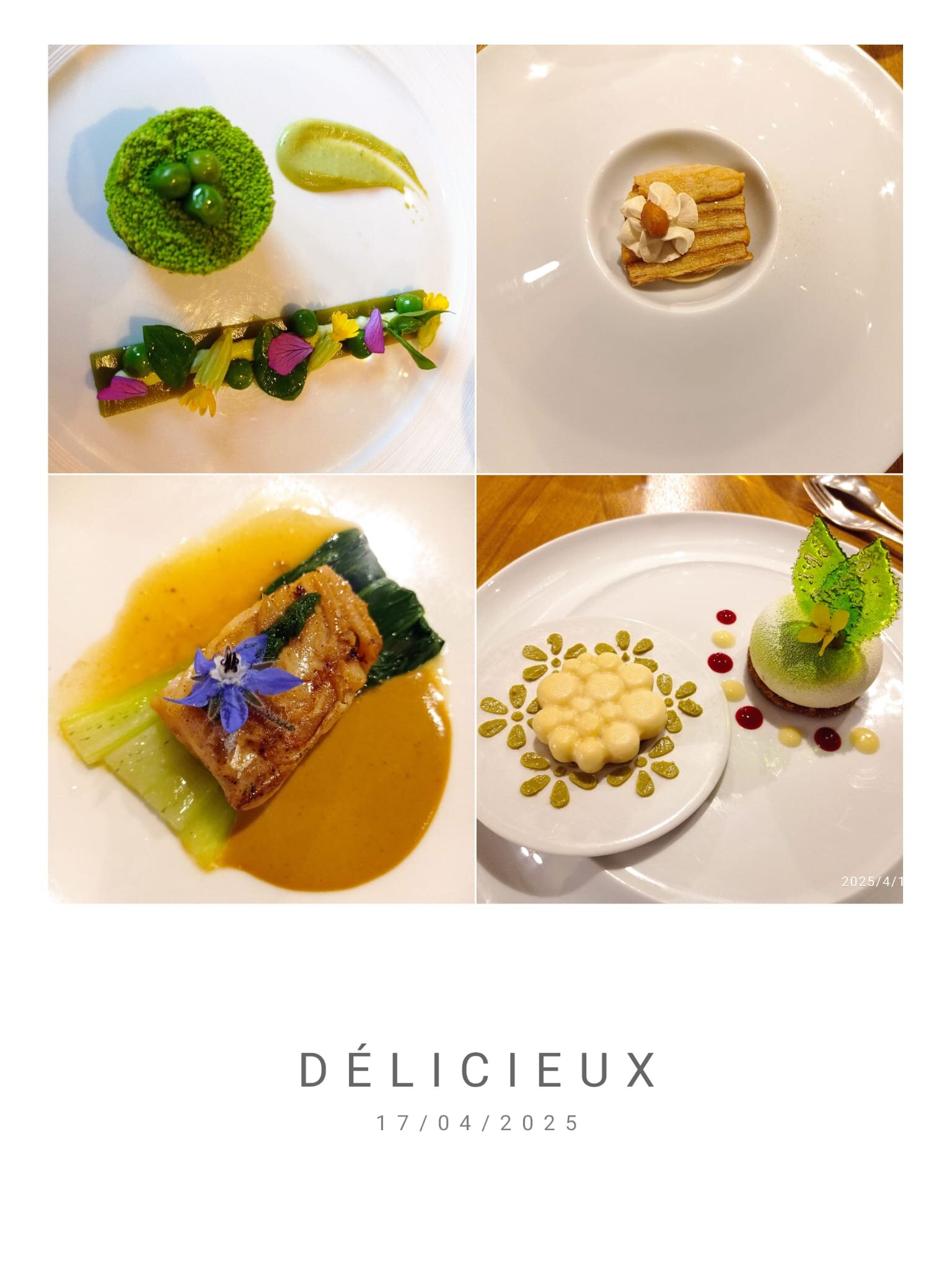 Le Senechal-官方