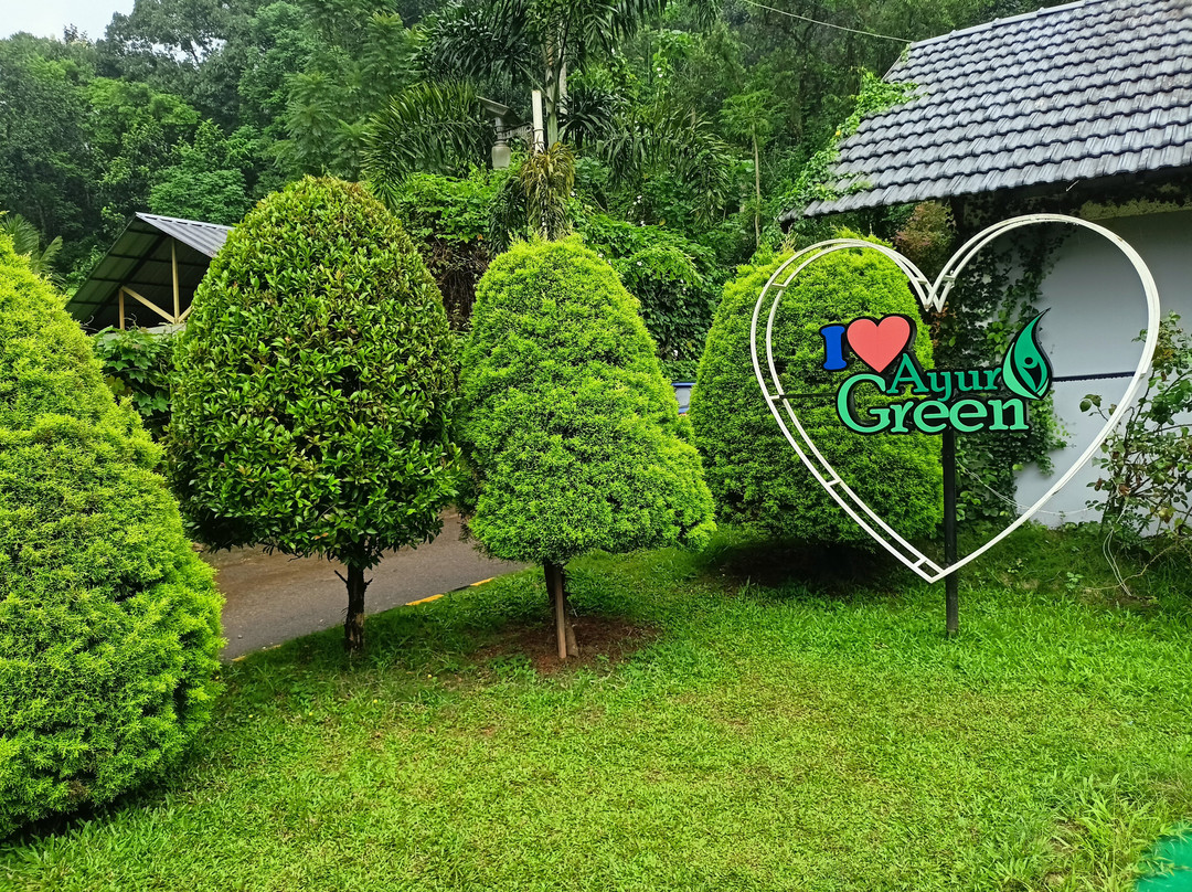 Ayur Green Resort and Spa主图