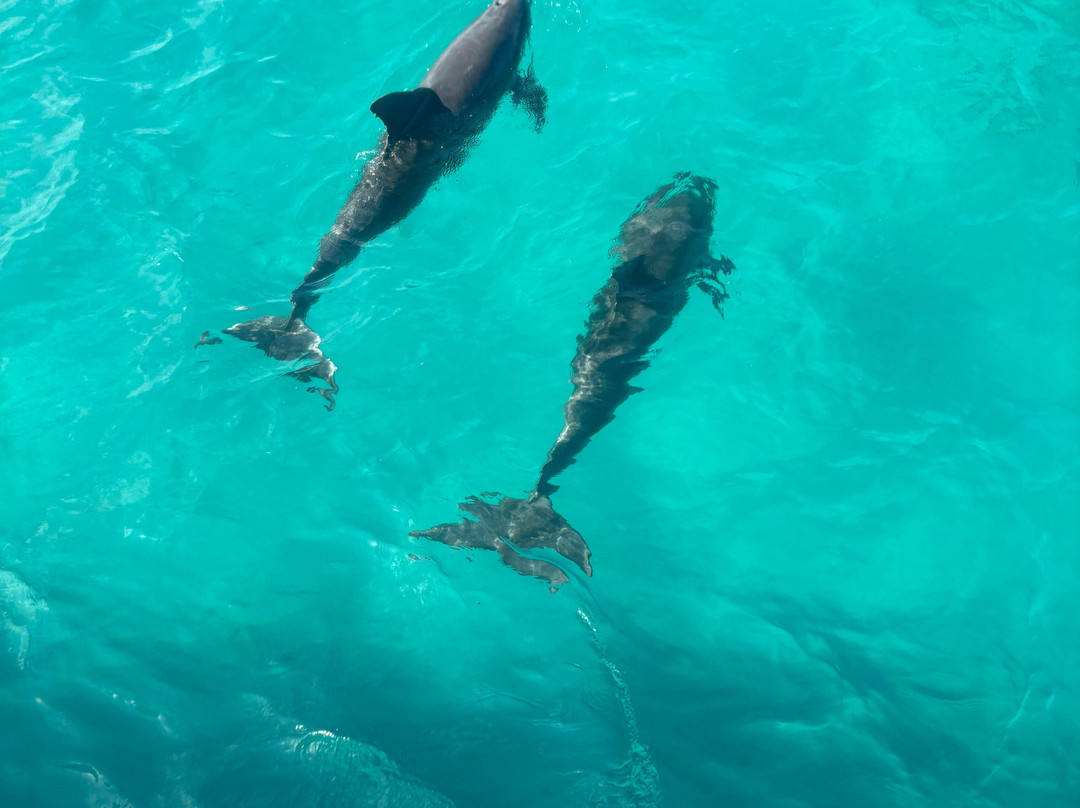 Honest Eco-基韦斯特必去景点