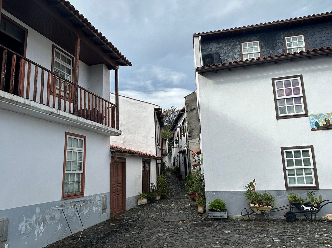Castelo de Bragança景点图片