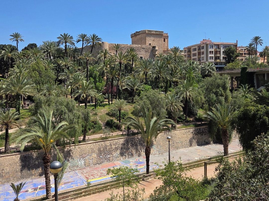 Proyecto Vibora II-埃尔切必去景点