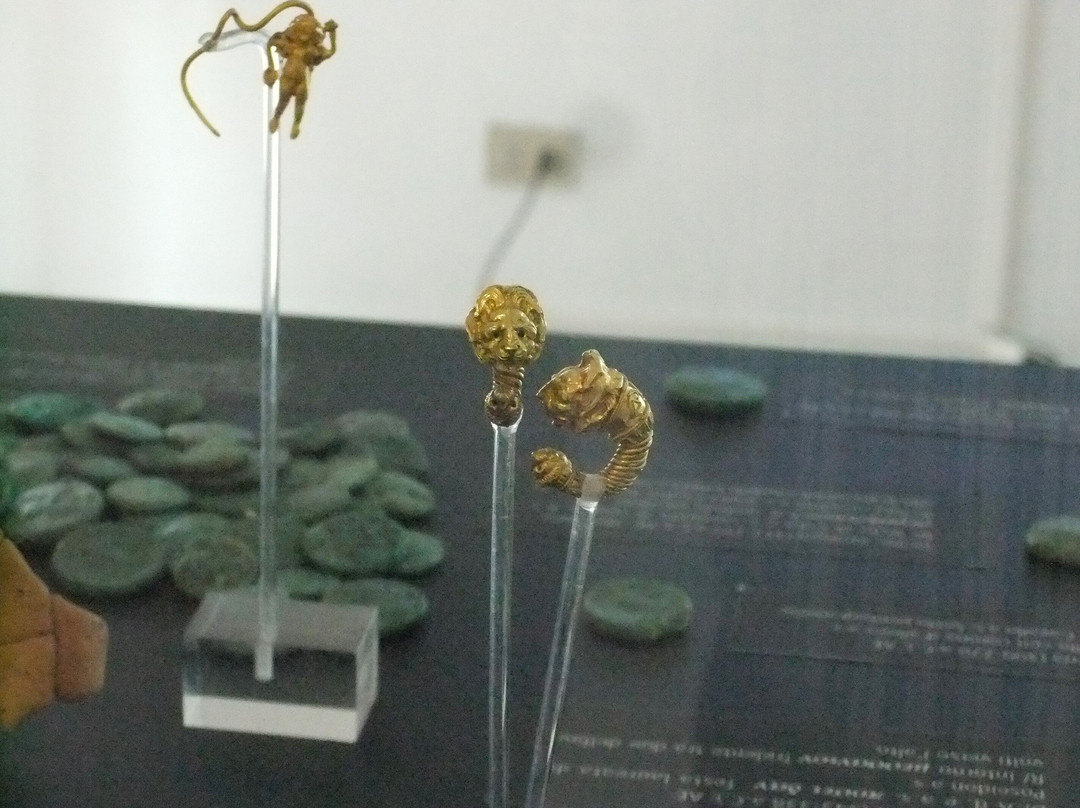 National Archaeological Museum of Crotone-克罗托内必去景点