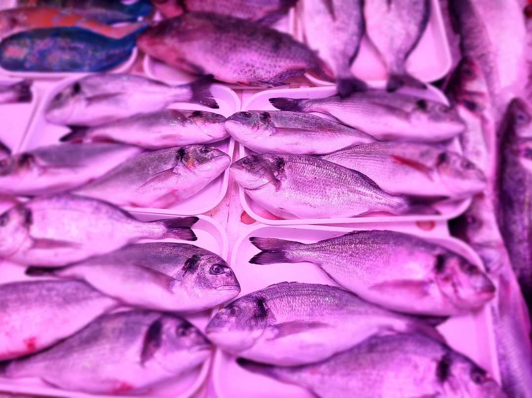 伯明翰斗牛场购物中心景点图片