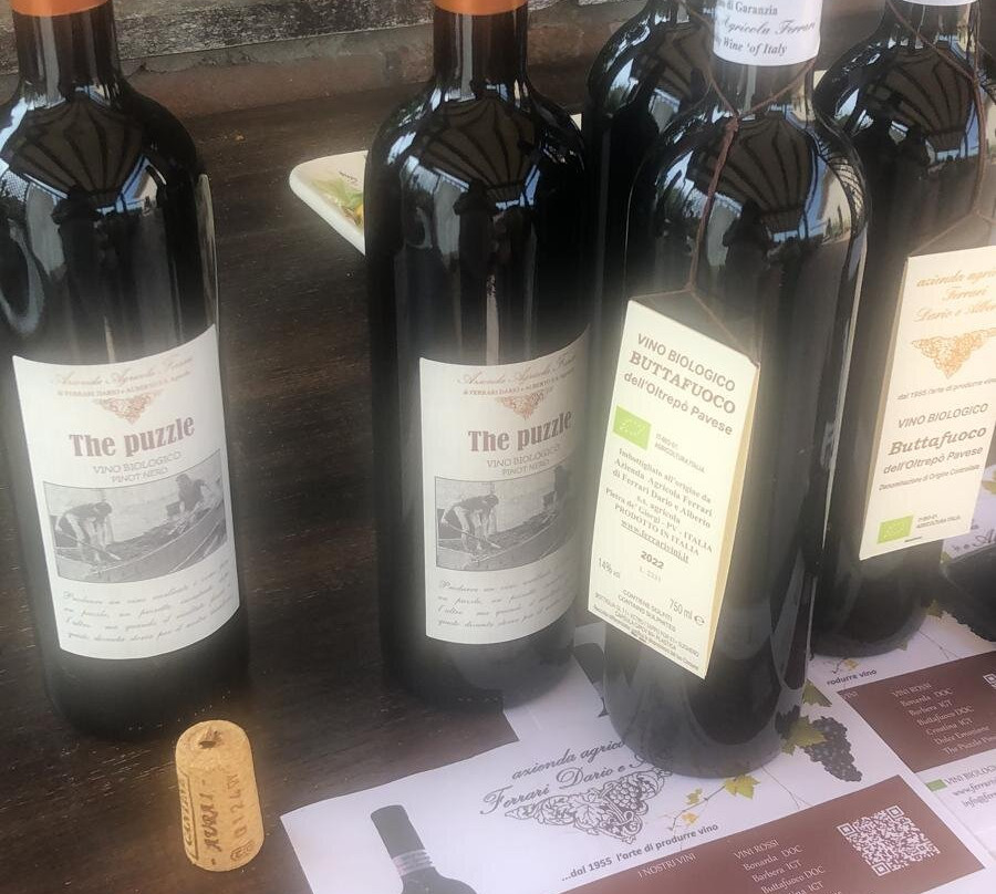 Milan Oltrepo Pavese Vineyards Grape Stomping and Wine Tasting-Robecco Pavese必去景点