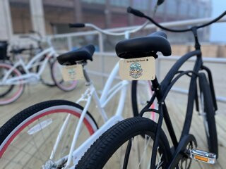 Tour the Shore Bike Rentals