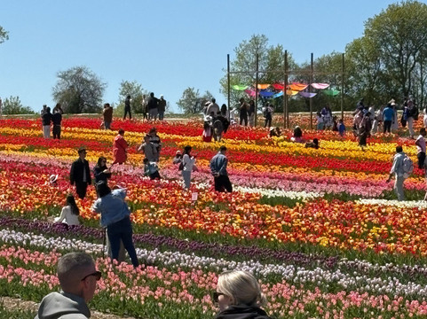 Pingles Farm Market-Hampton必去景点