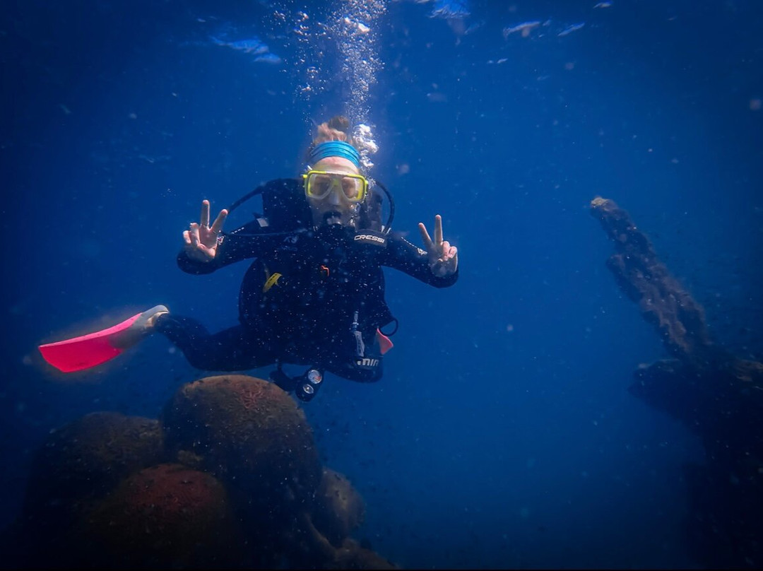 Pleasure Divers Magnetic Island-Arcadia必去景点