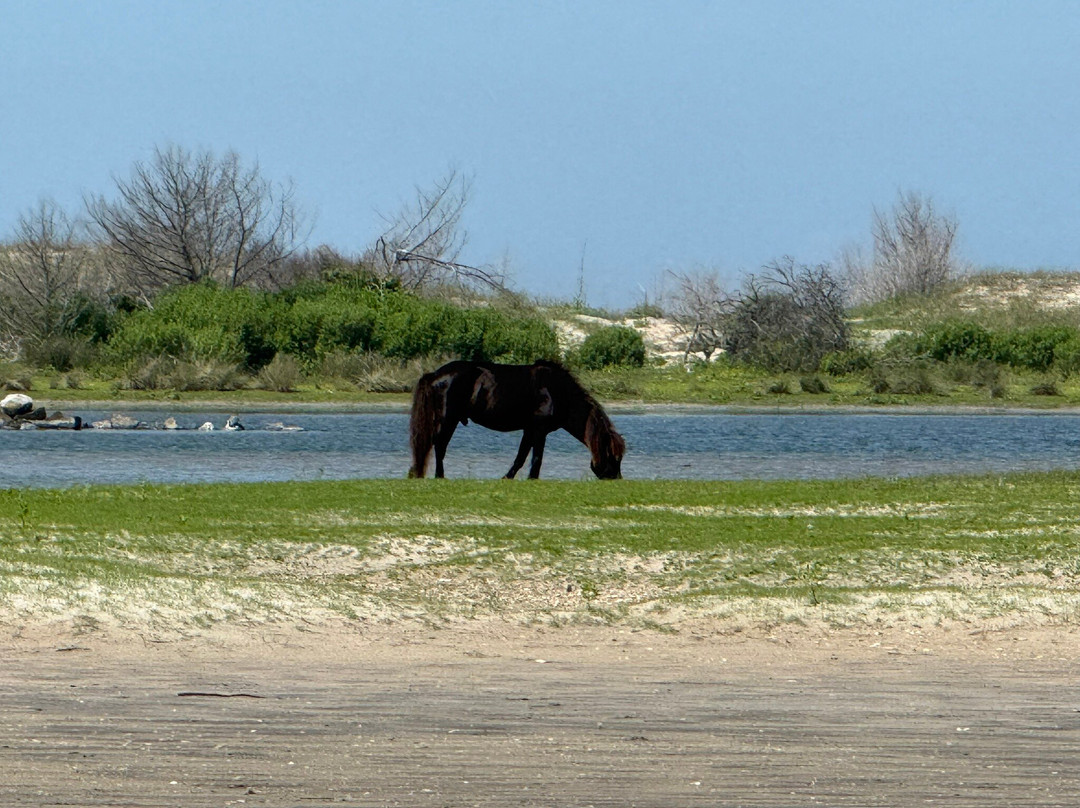 Crystal Coast Ecotours景点图片