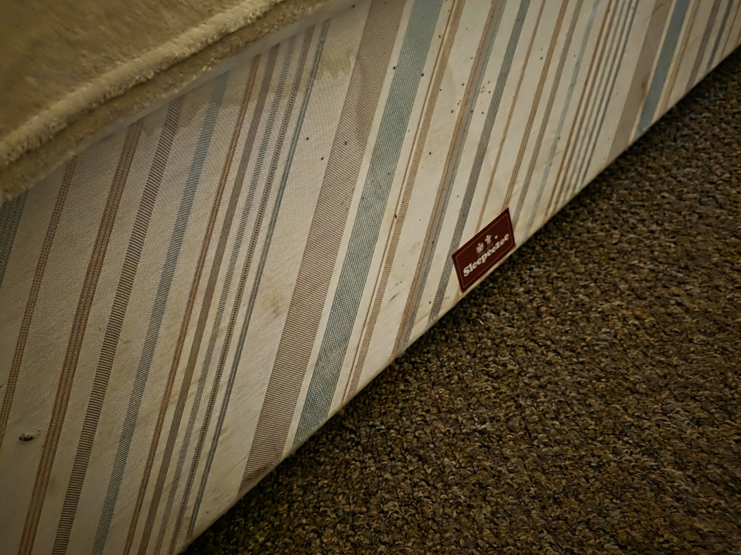 OYO The White Horse主图