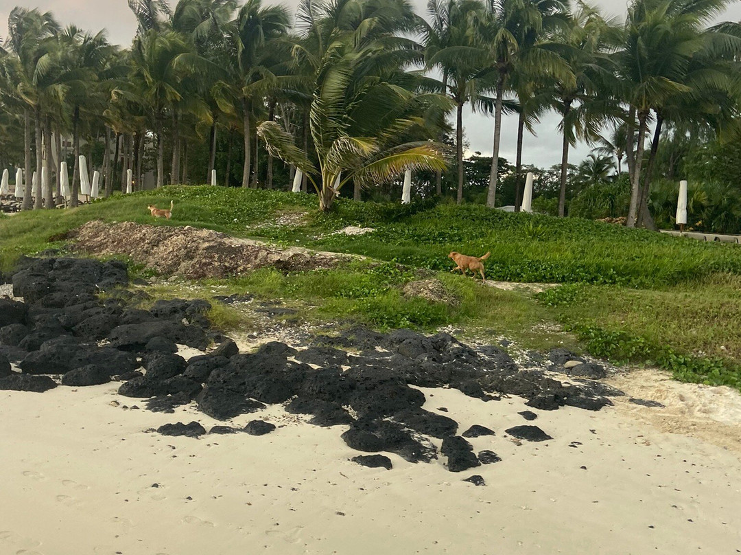 Legasea Stables Mauritius-Quatre Cocos必去景点