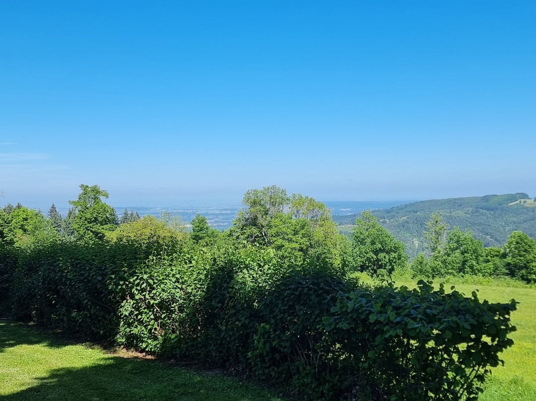 Domaine de Montvianeix主图