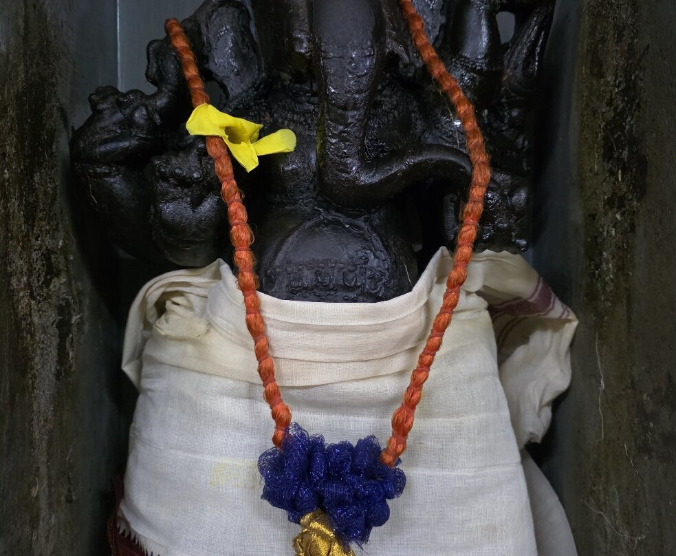 Arul Mihu Navasakthi Vinayagar Temple景点图片