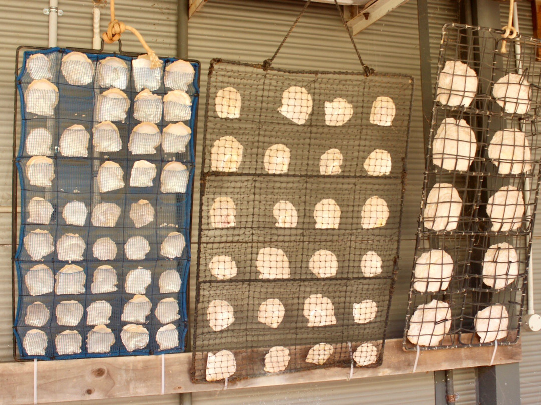 Cygnet Bay Pearl Farm Tours景点图片