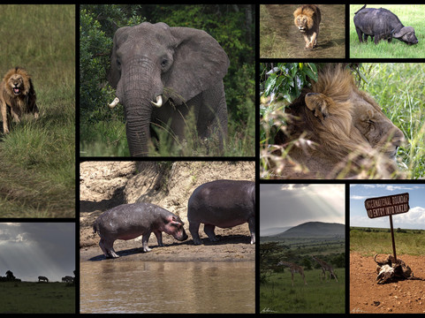 Aramati Safaris-内罗毕必去景点