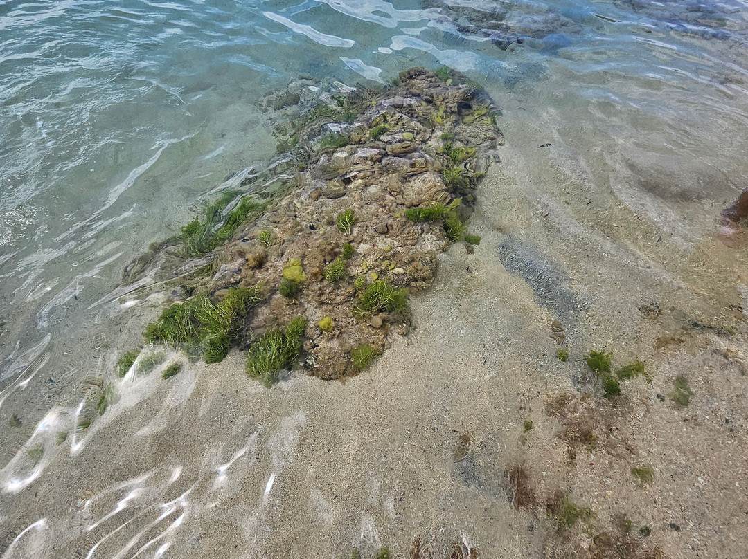 Historic Falmouth Cruise Port-法尔茅斯必去景点