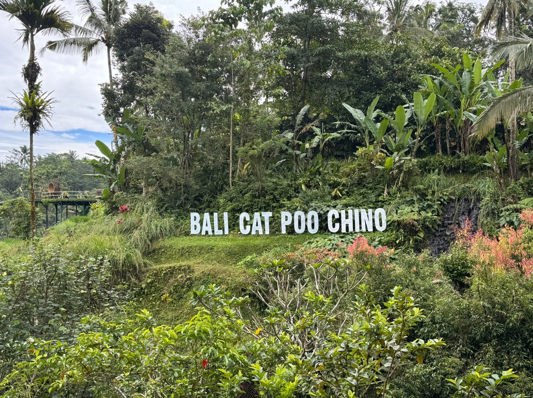 Ubud Taxi Driver景点图片