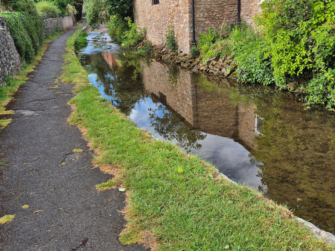 Plume of Feathers主图