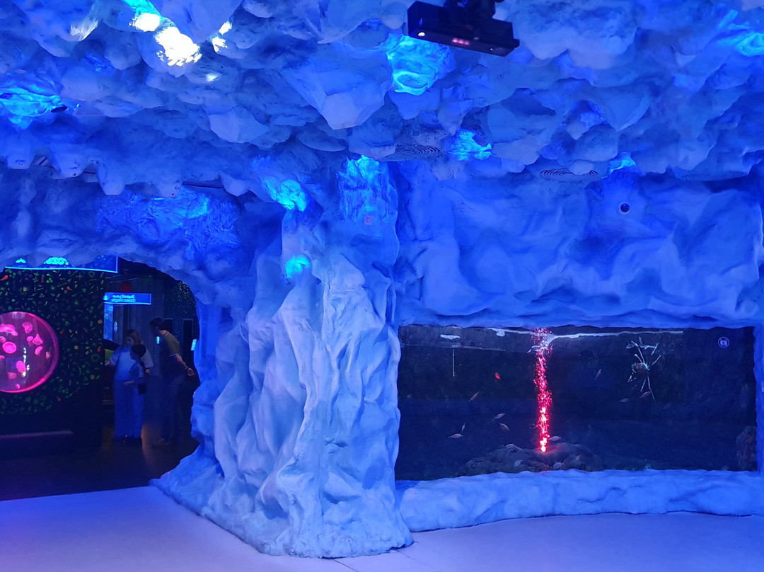 The National Aquarium Abu Dhabi景点图片