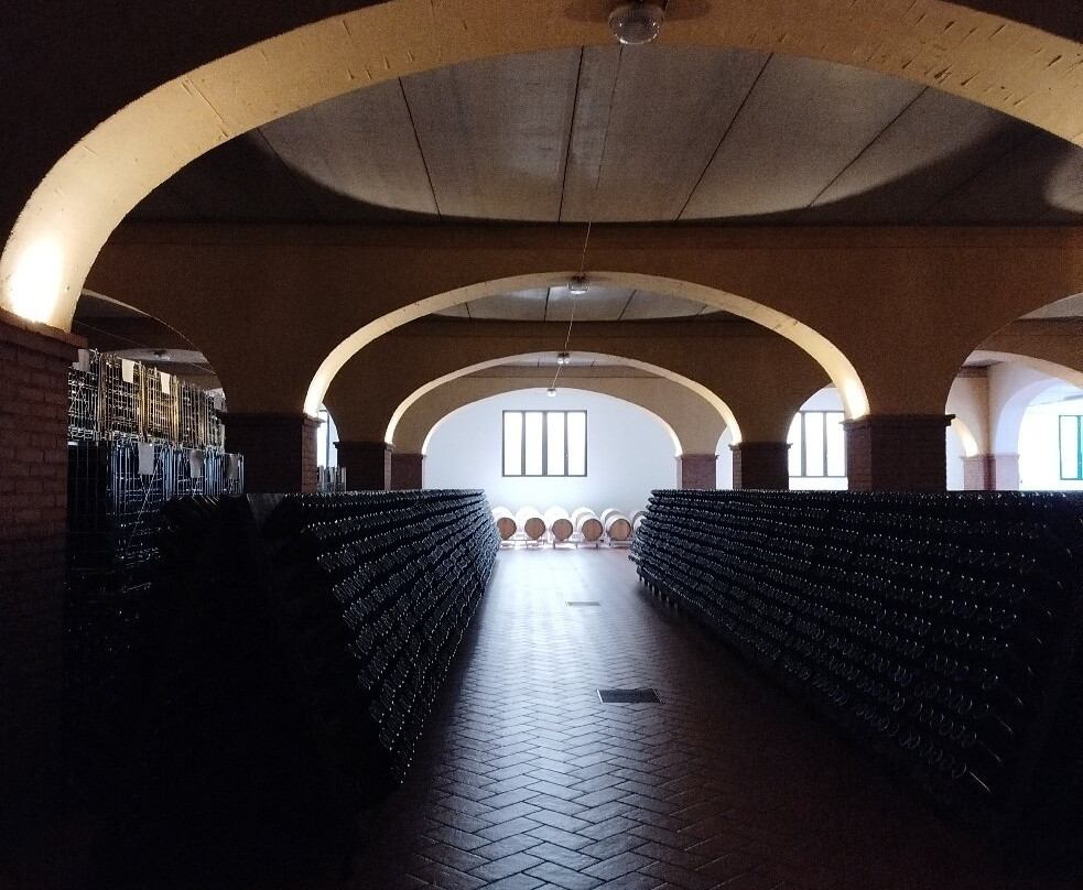 Cantina Bosio景点图片