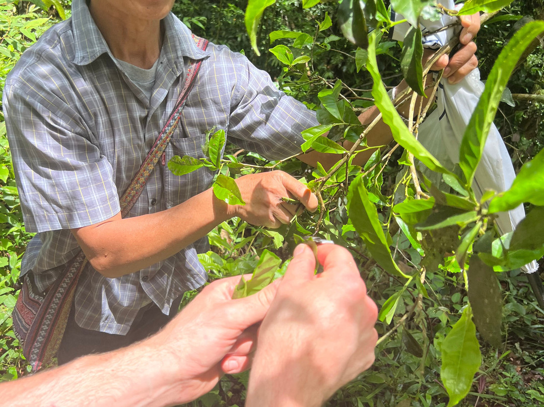 Eco Tours Chiang Mai-清迈必去景点