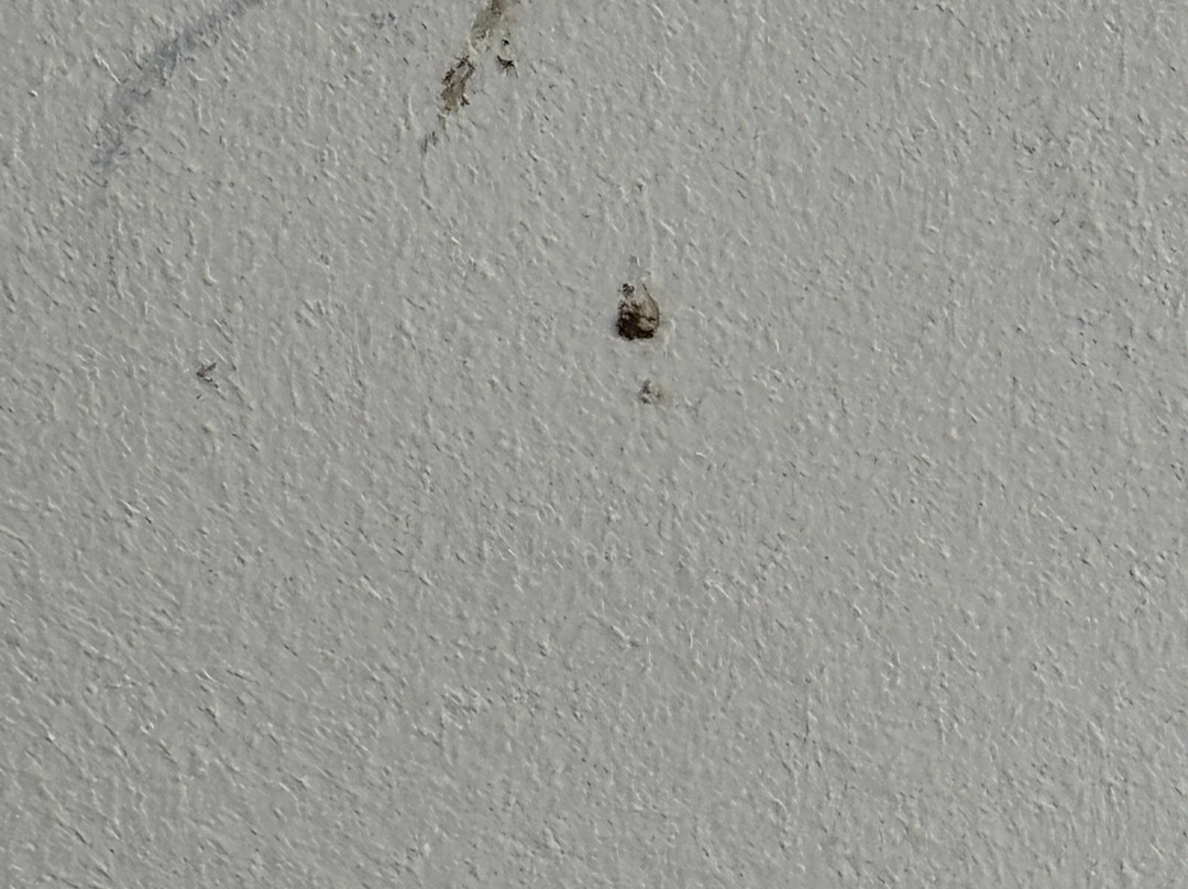 Hotel Oostzaan-Amsterdam主图