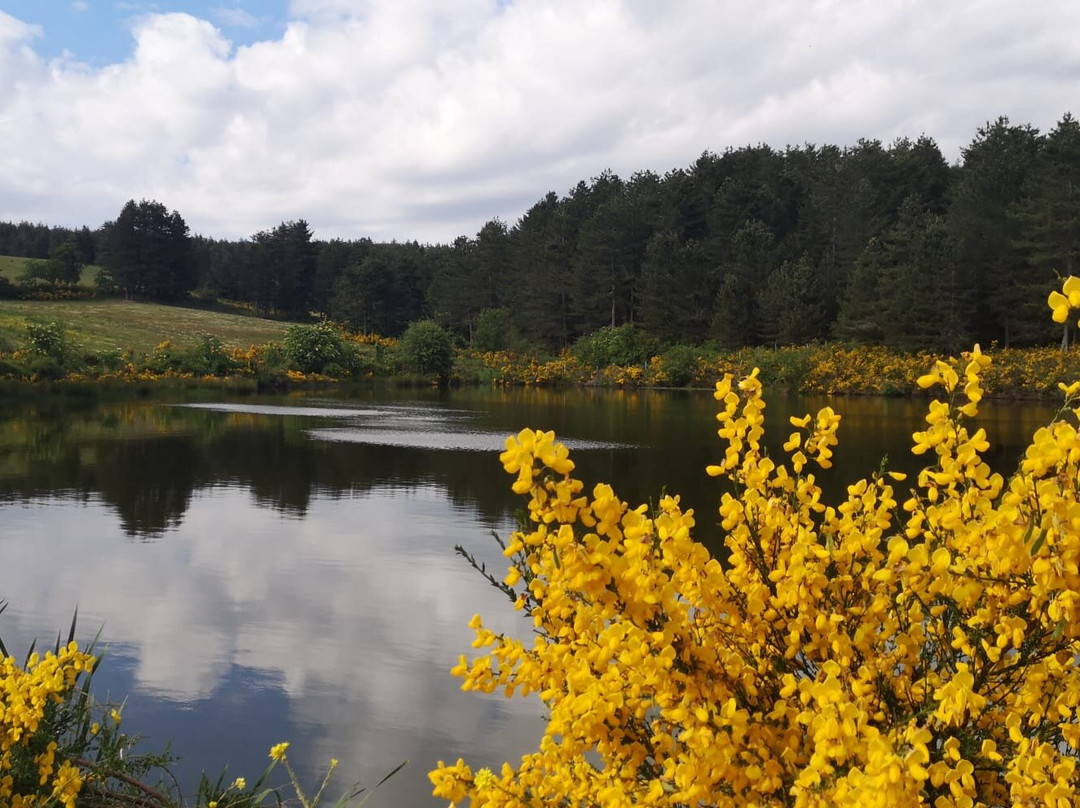 Agriturismo BioSila主图