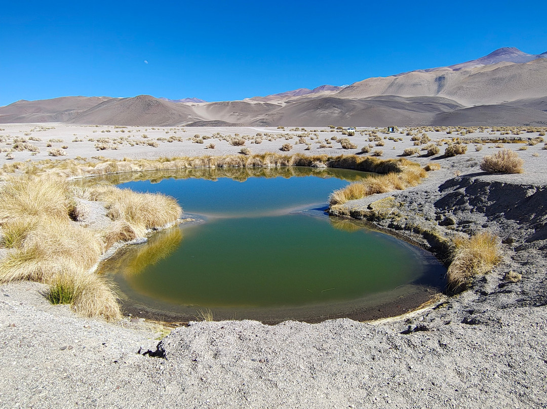 Salar De Antofalla景点图片